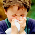 过敏性鼻炎危害儿童甚于成人