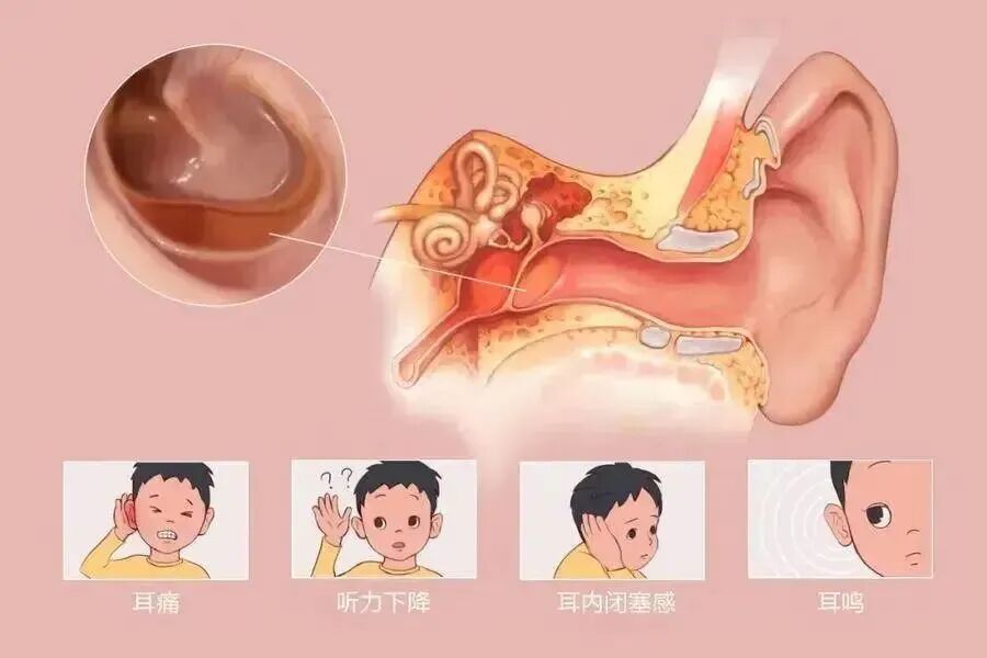 微信图片_2026-07-15_090748_079.jpg