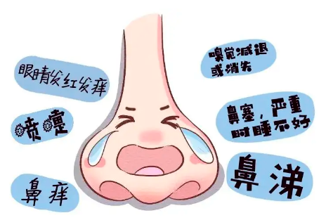 微信图片_2026-05-11_153913_550.png