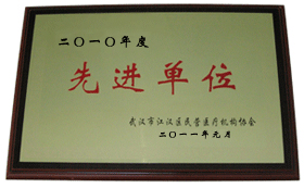 人ǺҽԺ2010굥λ